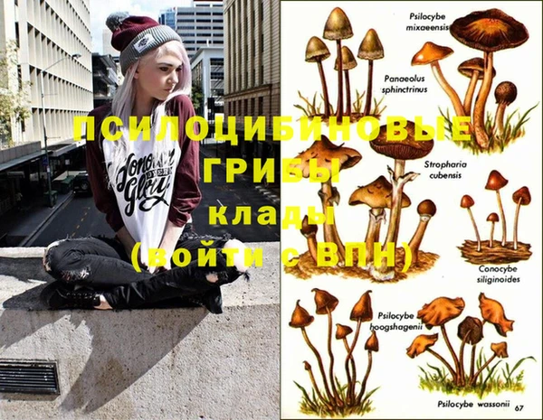 MDMA Premium VHQ Ессентукская