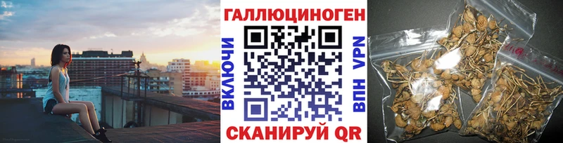 Псилоцибиновые грибы Cubensis  mega tor  сайты даркнета клад  Белебей 