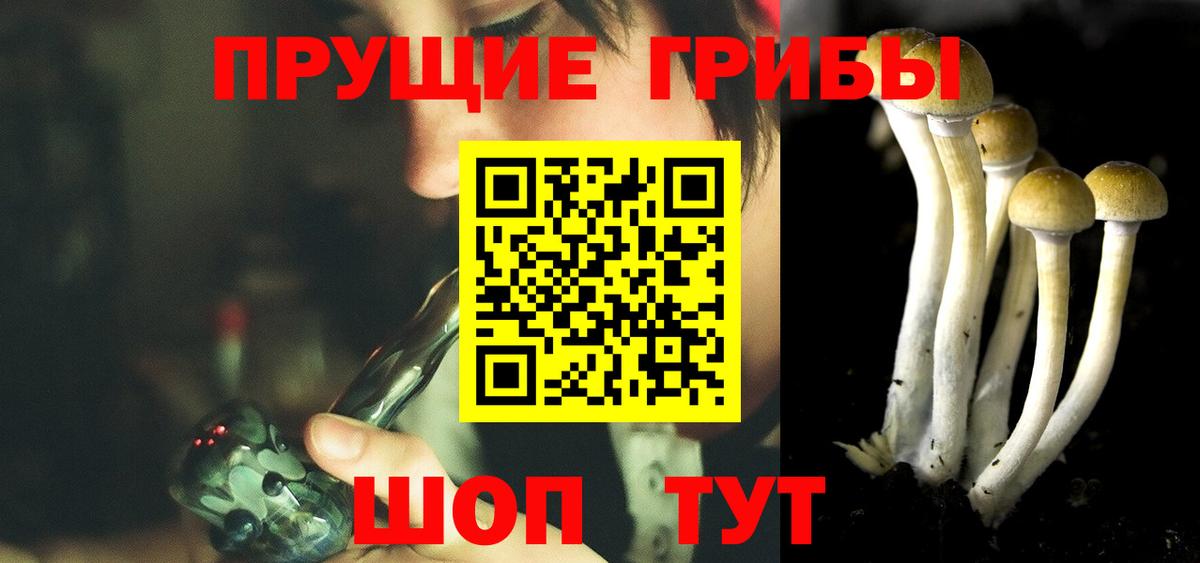 Псилоцибиновые грибы GOLDEN TEACHER Белебей